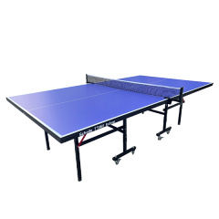 Теннисный стол для помещений Scholle TT450 Indoor в СПб по цене 28490 ₽